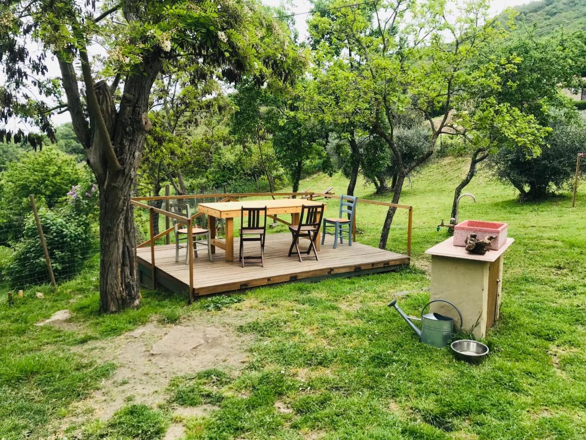 B&B Giuncaia17 Polveraia Buitenkant foto